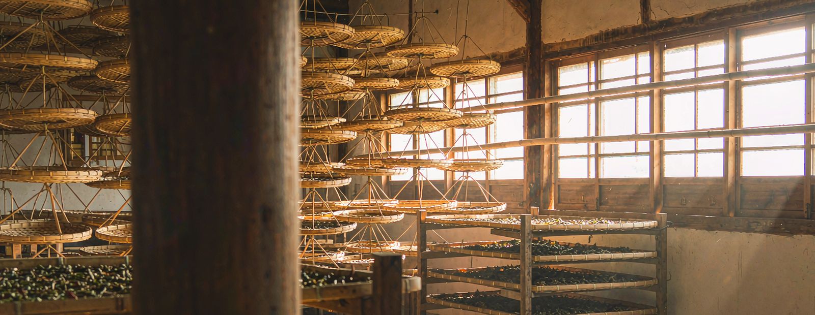 Bamboo withering trays on racks inside a traditional tea workshop